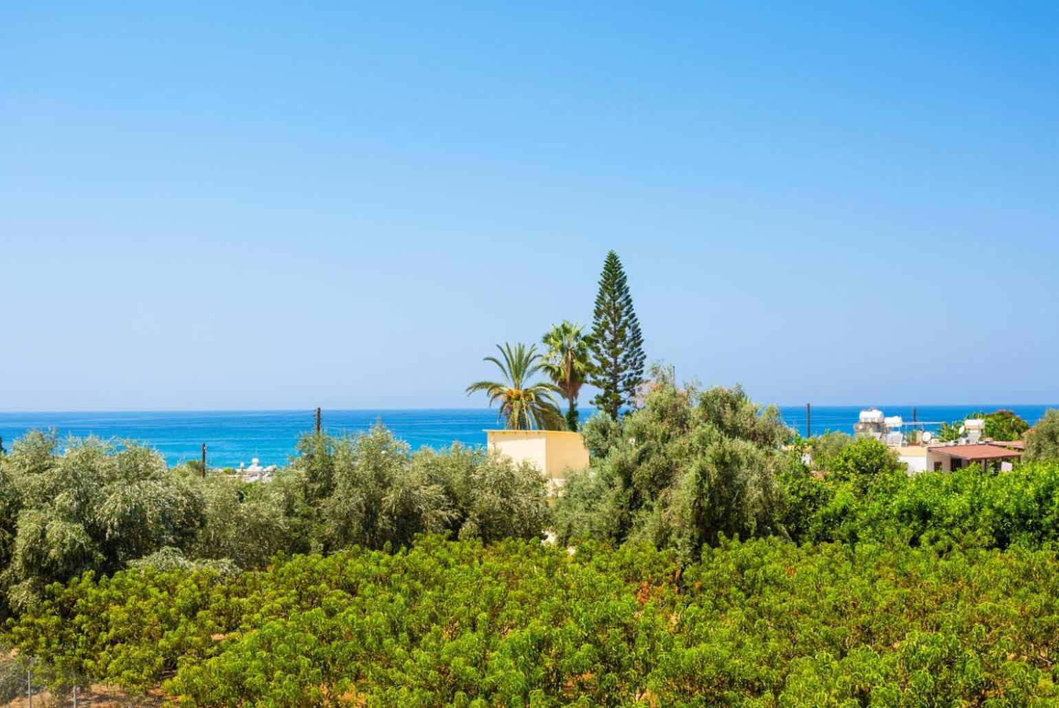 Villa Olivetta Kato Yialia 외부 사진